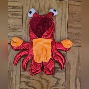 Dog Costume | Lobster | XS